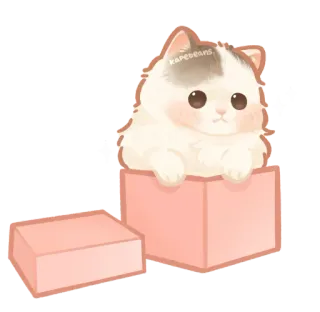 🐾 猫, かわいい, カワイイ, 動物, 箱, ふわふわ, 子猫 telegram sticker