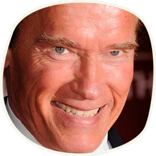 😃 Arnold Schwarzenegger ator, celebridade, político, Arnold Schwarzenegger telegram sticker