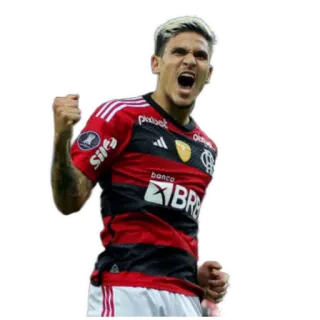 👊 soccer, football, sports, player, celebration, athlete telegram sticker
