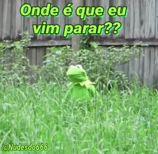 🤔 Kermit the Frog Onde é que eu vim parar?? Kermit, frog, meme, confused, green, where am i telegram sticker
