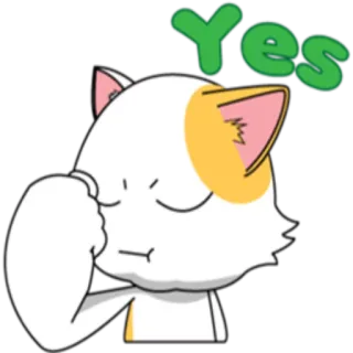 👍 Yes 猫, 是, 可爱, 动物, 同意, 赞同, 肯定 whatsapp sticker