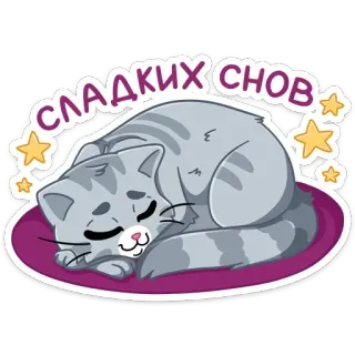 😴 Сладких снов chat, dormir, étoiles, mignon, doux rêves, sommeil, repos telegram sticker