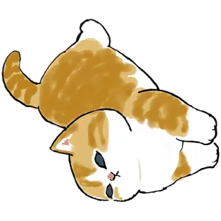 ☺️ 猫, 可爱, 小猫, 动物, 宠物, 橙色, 白色 telegram sticker