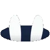 🐰