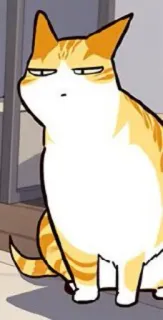 🐈 gato, gato atigrado naranja, meme, divertido, animal, mascota telegram sticker