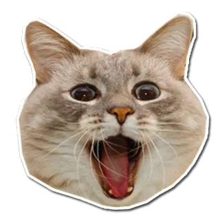😄 cat, animal, cute, open mouth, funny telegram sticker
