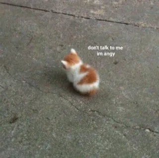 😤 don't talk to me im angy cat, kitten, angry, meme, funny, cute, pet telegram sticker
