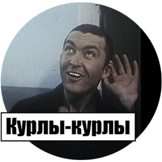 👂 Курлы-курлы ruso, texto, pájaros, grullas, frase whatsapp sticker