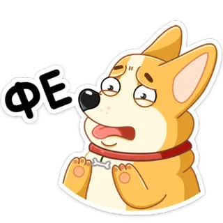 🥴 ФЕ chien, corgi, dégoût, mignon, animal whatsapp sticker