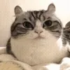 😐