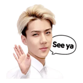 👋 See ya kpop, waving, goodbye, farewell whatsapp sticker