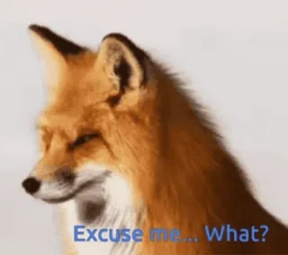 🤩 Excuse me... What? zorro, animal, meme, gracioso, sarcástico, confundido, pregunta telegram sticker