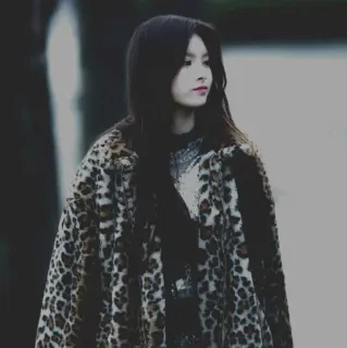 💎 donna, stampa leopardata, ritratto, cappotto, moda telegram sticker