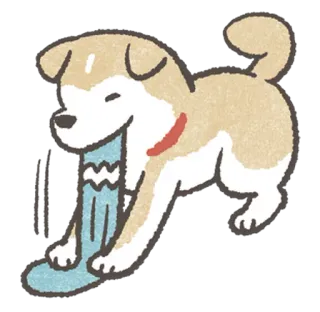 😁 cachorro, shiba inu, meia, fofo, animal de estimação, desenho animado, animal whatsapp sticker