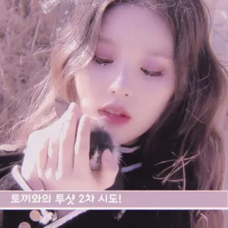 🍉 토끼와의 투샷 2차 시도! frau, selfie, koreanisch, mädchen, porträt, foto telegram sticker