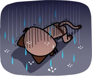 😞 chat, triste, pluie, tempête, animal, dessin animé telegram sticker