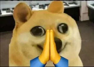 😂 Doge Doge meme whatsapp sticker
