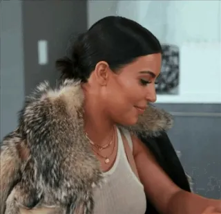 🍔 Kim Kardashian reality show, celebrità, donna, pelliccia telegram sticker