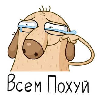 😭 Всем Похуй anjing, kartun, sedih, menangis, rusia telegram sticker