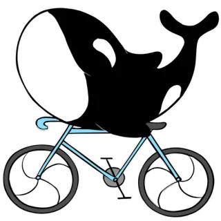 🚲 косатка, кит, велосипед, животное, мультфильм, милый, байк, морское существо telegram sticker