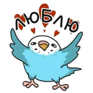 😍 ЛЮБЛЮ птица, любовь, попугай, животное, милый, мультфильм telegram sticker