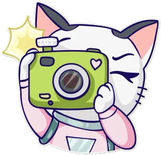 📷 gato, fotógrafo, cámara, lindo, pegatina, animales, corazón, dibujos animados whatsapp sticker