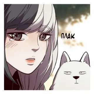 😢 ПЛАК weinen, traurig, Frau, Katze, Anime, Webtoon telegram sticker