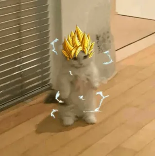 🐈 Goku Dragon Ball Z gato, super saiyajin, dragon ball z, anime, goku telegram sticker