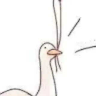 🦢 canard, oiseau, animal, blanc, volaille d'eau whatsapp sticker