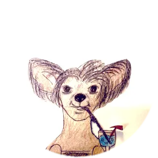 😗 dog, cocktail, drink, animal, cute, fun whatsapp sticker