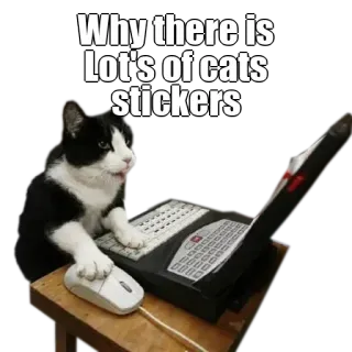 🤔 Why there is Lot's of cats stickers chat, sticker, ordinateur, mème, humour whatsapp sticker