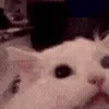 🤬
