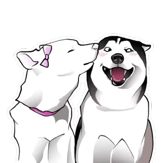 💑 chó, động vật, dễ thương, husky telegram sticker