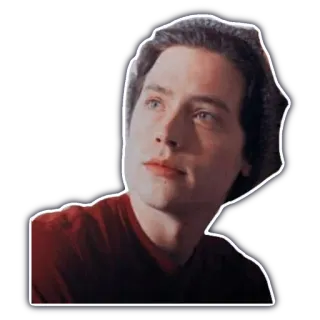 🤔 telegram sticker