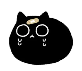 Black Cat @stickersb2b telegram stickers