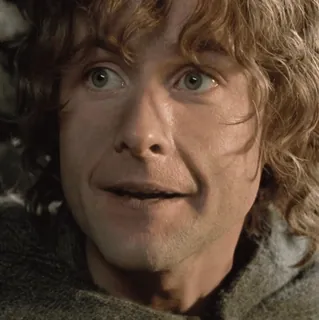 💍 Pippin The Lord of the Rings Pippin, Senhor dos Anéis, Hobbit, Filme, Fantasia whatsapp sticker