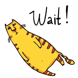😳 Wait! chat, attendre, animal, mignon, dessin animé telegram sticker