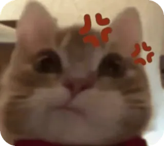miawwmiaww @alsvaiyain :: @fStikBot telegram stickers