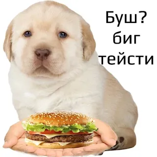 ❤️ Буш?
Биг
тейсти dog, puppy, burger, food, cute, russian telegram sticker