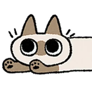 😺 gato, animal, fofo, desenho animado, desenho telegram sticker