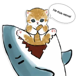 😬 Не ешь меня! Katze, Kätzchen, Hai, Sprechblase, Tier, Cartoon telegram sticker