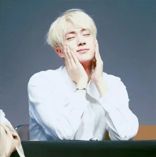 ✨ Jin kpop, singer, bts, idol, korean pop, jin telegram sticker