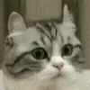 😮