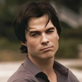 🩸 Damon Salvatore The Vampire Diaries Ian Somerhalder, vampire, tv show, actor, handsome, portrait telegram sticker