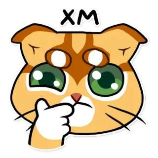 🤔 XM gato, pensando, expresión, lindo, naranja, dibujos animados, animal whatsapp sticker