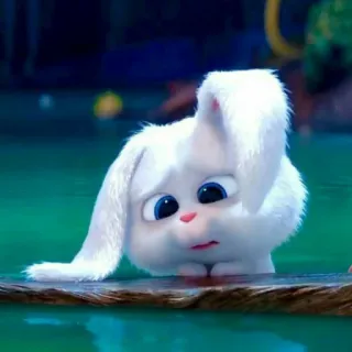 🐾 Snowball The Secret Life of Pets coniglio, animale, bunny, bianco, cartone animato, personaggio whatsapp sticker