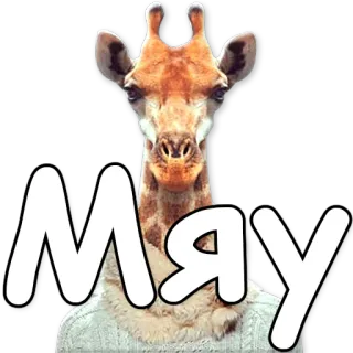 😘 МЯУ girafe, animal, pull, miaou, son de chat telegram sticker