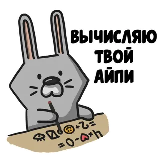 😡 вычисляю твой айпи Hase, rechnend, Internet, IP-Adresse whatsapp sticker