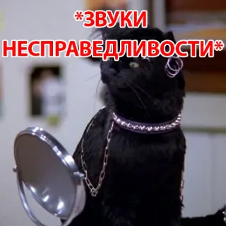 🤬 *ЗВУКИ НЕСПРАВЕДЛИВОСТИ* 猫, 黒猫, 面白い, ミーム, サウンド, 不正, テキスト, 動物 telegram sticker