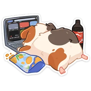 💻 cobaya, ordenador, snack, refresco, mono, vago, relajado telegram sticker